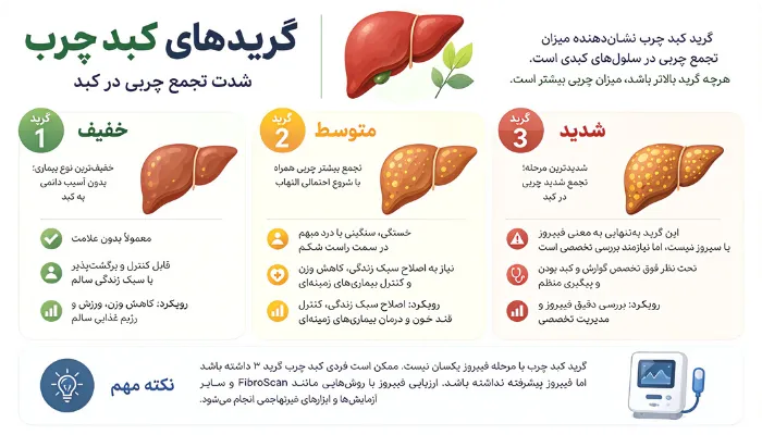 گریدهای کبد چرب